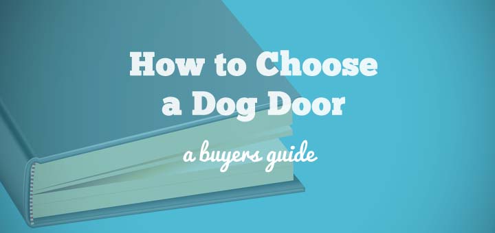 dog door buying guide