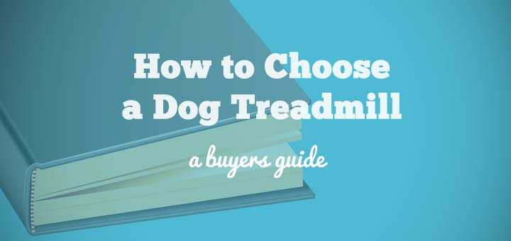 dog treadmill buying guide