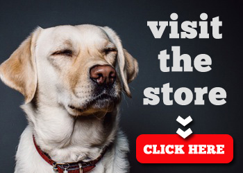 visit best doggie store