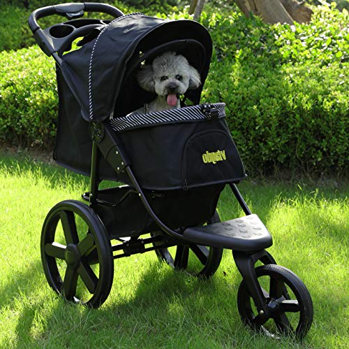 small dog buggy